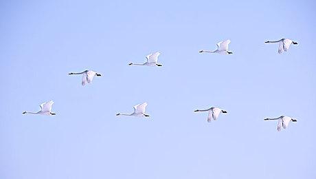 《马力欧派对：空前盛会》将是迄今最大的马趴作品